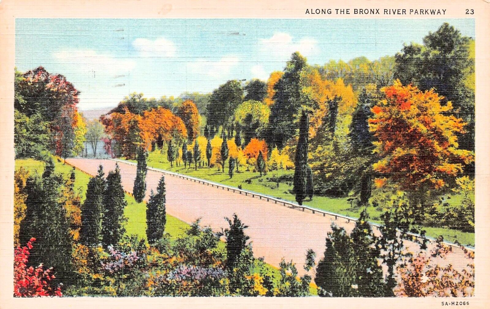 Bronx River Parkway New York City White Plains NY c1936 Vtg Postcard D36