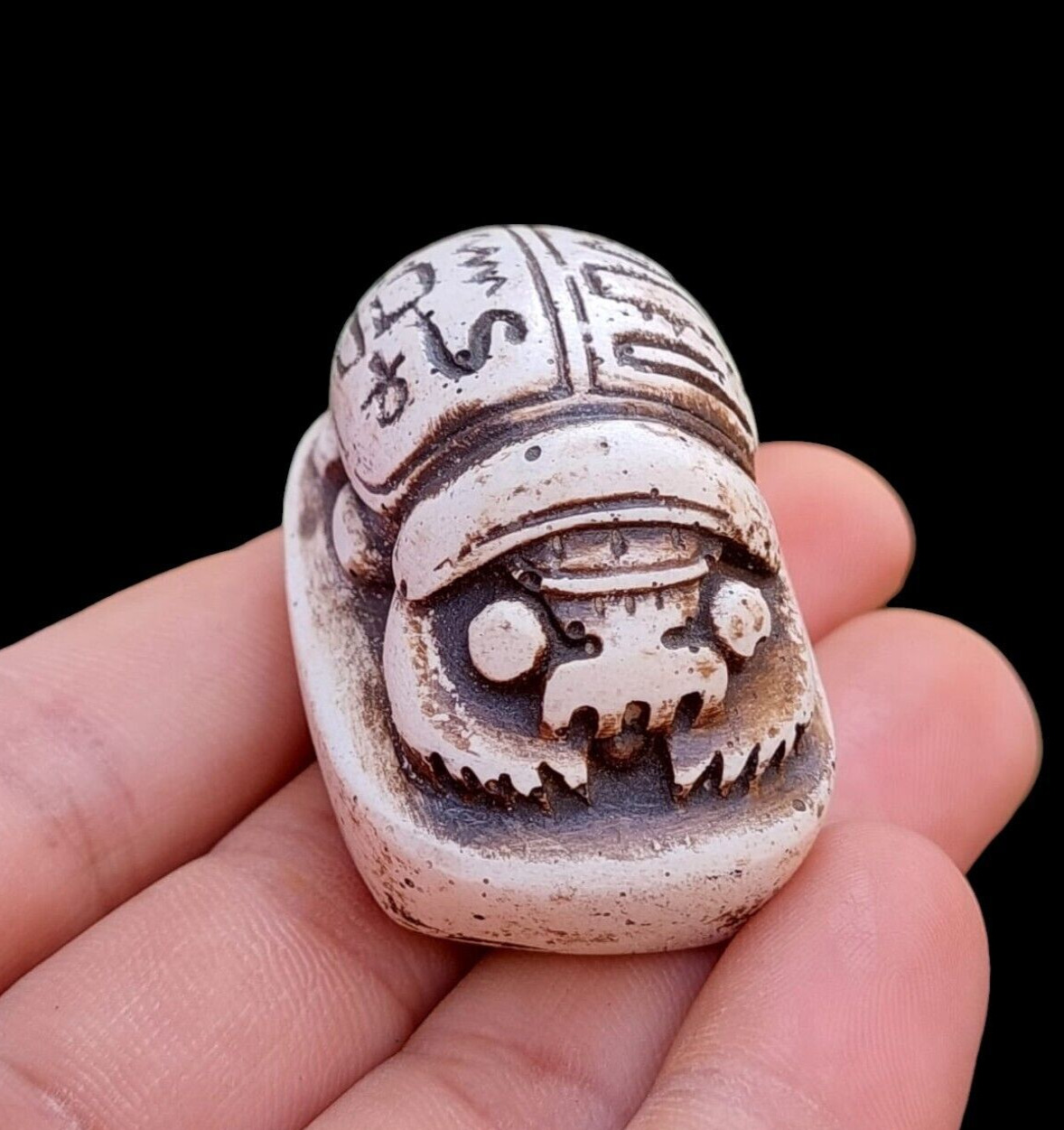 MUSEUM OF PHARAONIC SCARAB AMULETS RARE BEETLE RELIC OF EGYPTIAN CIVILIZATION BC