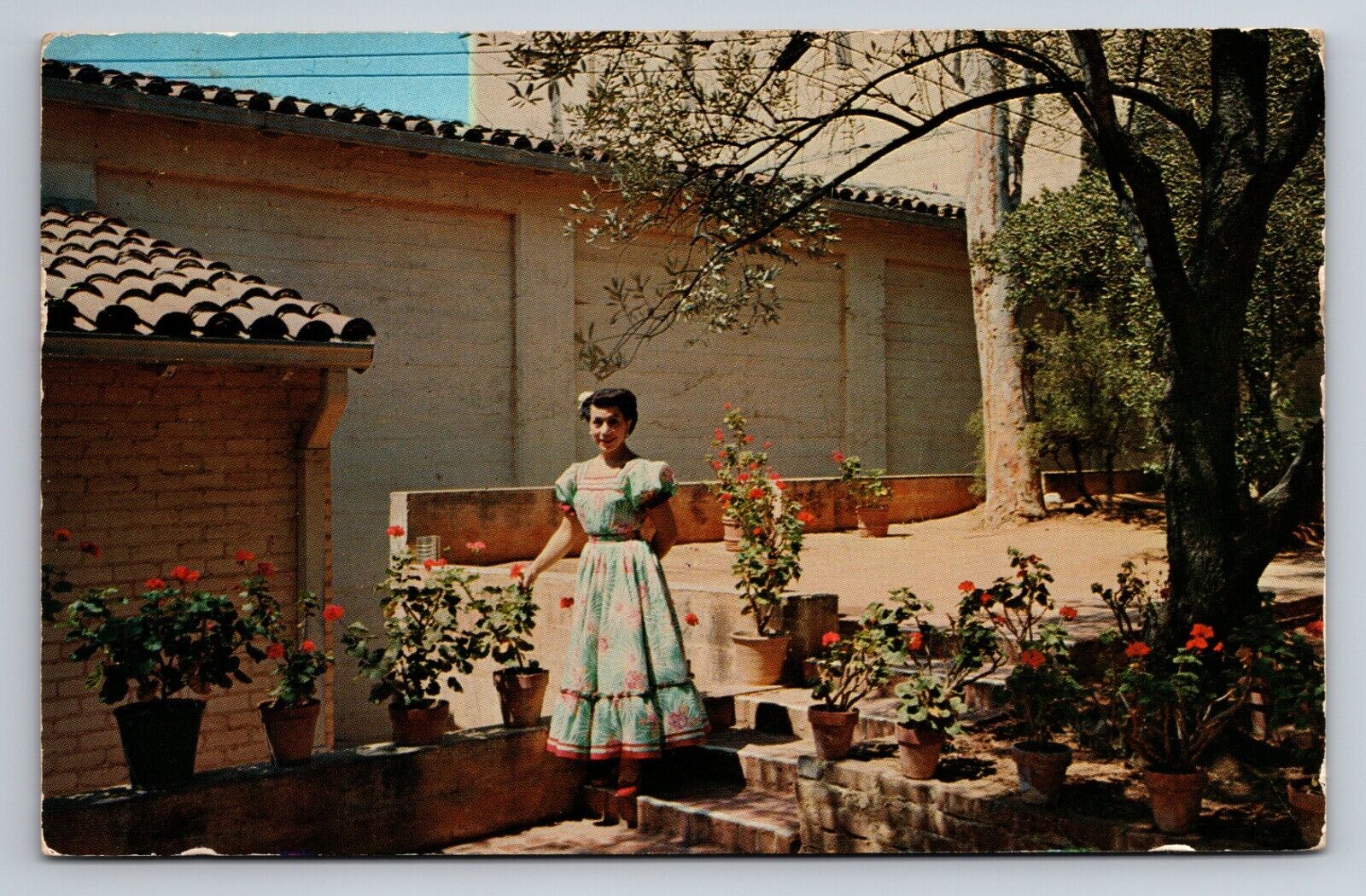 Padua Hills Theatre  Near Claremont California Vintage Postcard Posted 1958