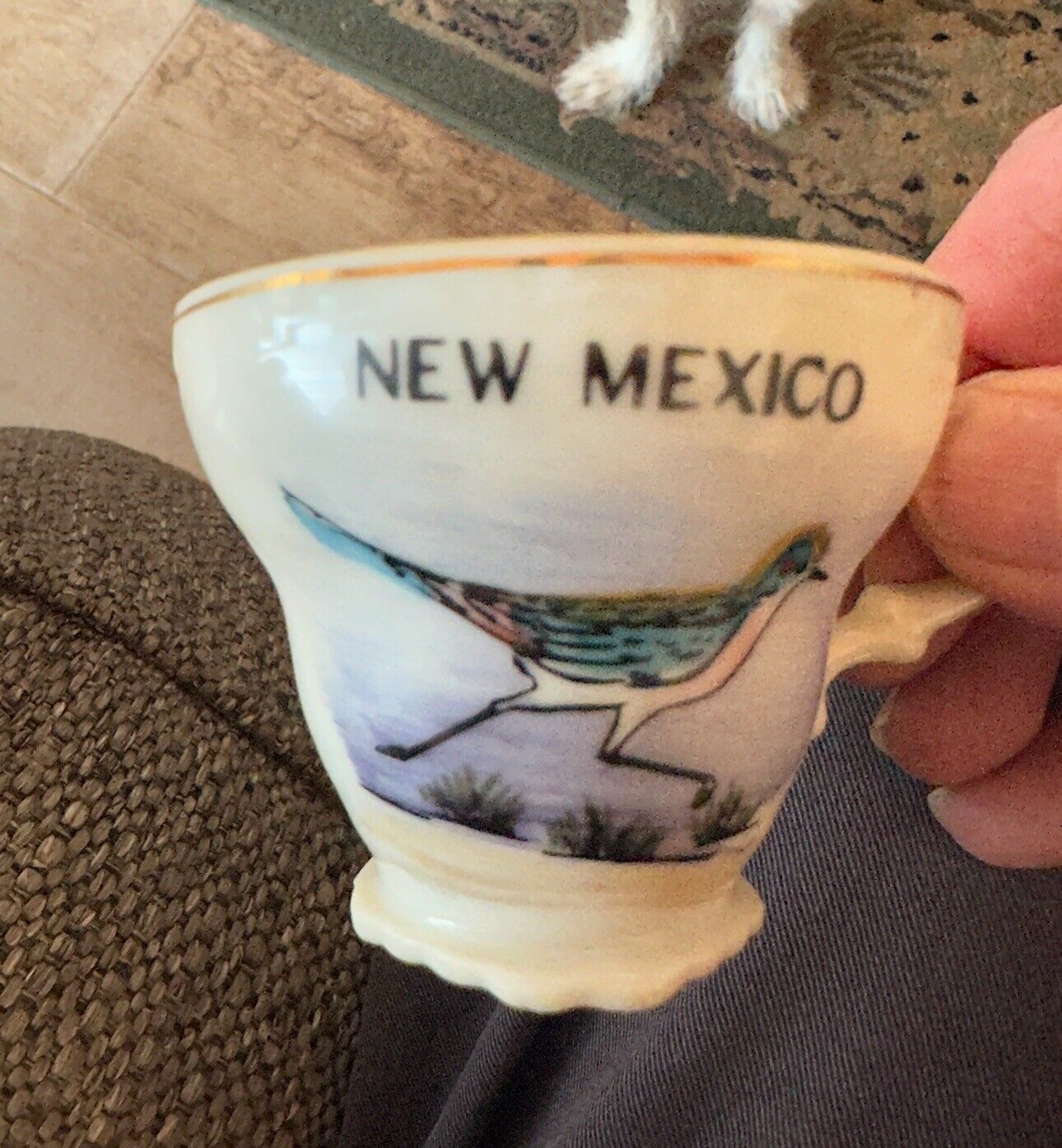 Hand Painted New Mexico Cup