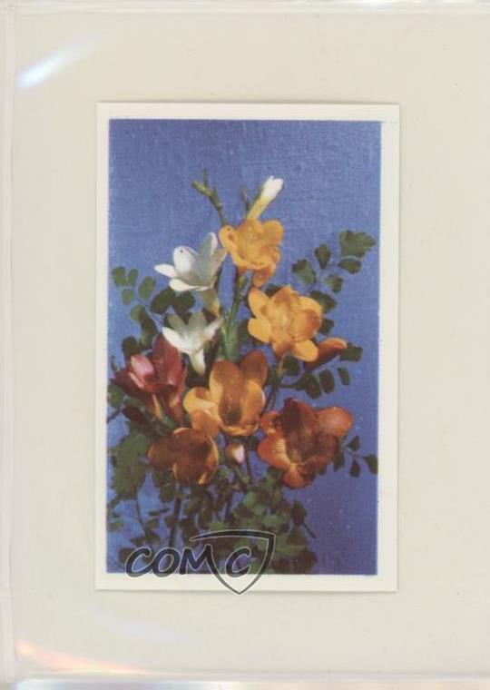 1972 Trucards Flowers Freesia (Freesia) #15 z6d