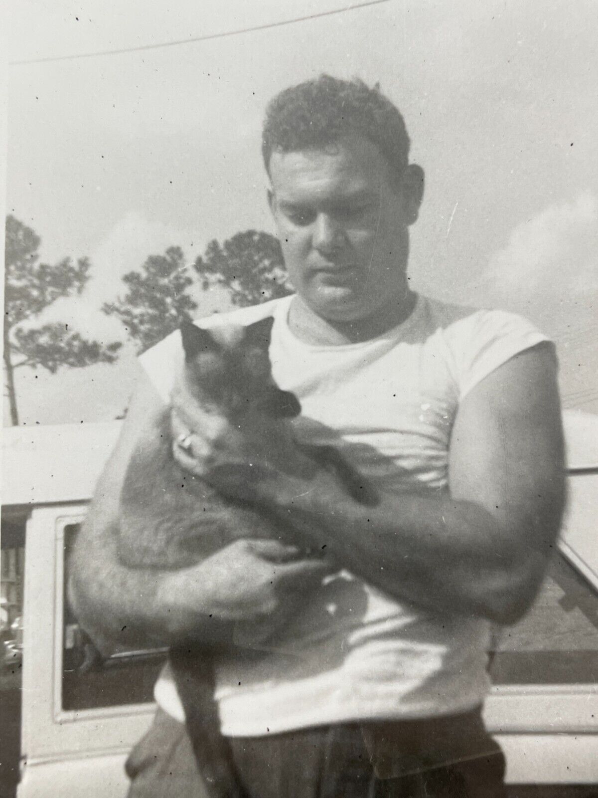 Z4 Photograph 1940-50\'s Handsome Tough Guy Holding Siamese Cat Sleeveless Shirt