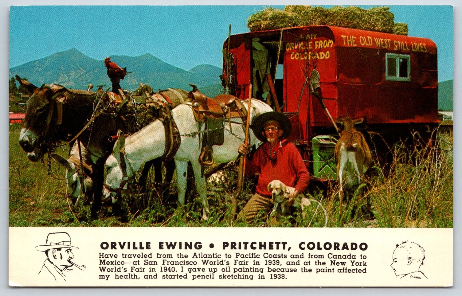 Postcard Orville Ewing, Travels In A Wagon, Pritchett, Colorado Unposted