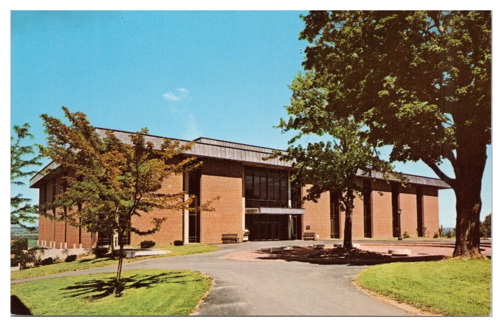 Vintage Library Geneseo State College Geneseo New York Postcard Unposted Chrome