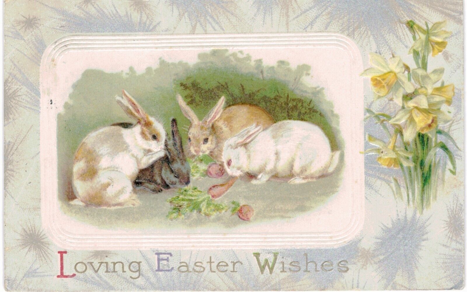 Easter Bunny Winsch Back Black & WHite Rabbits Framed In Daffodils 1910 