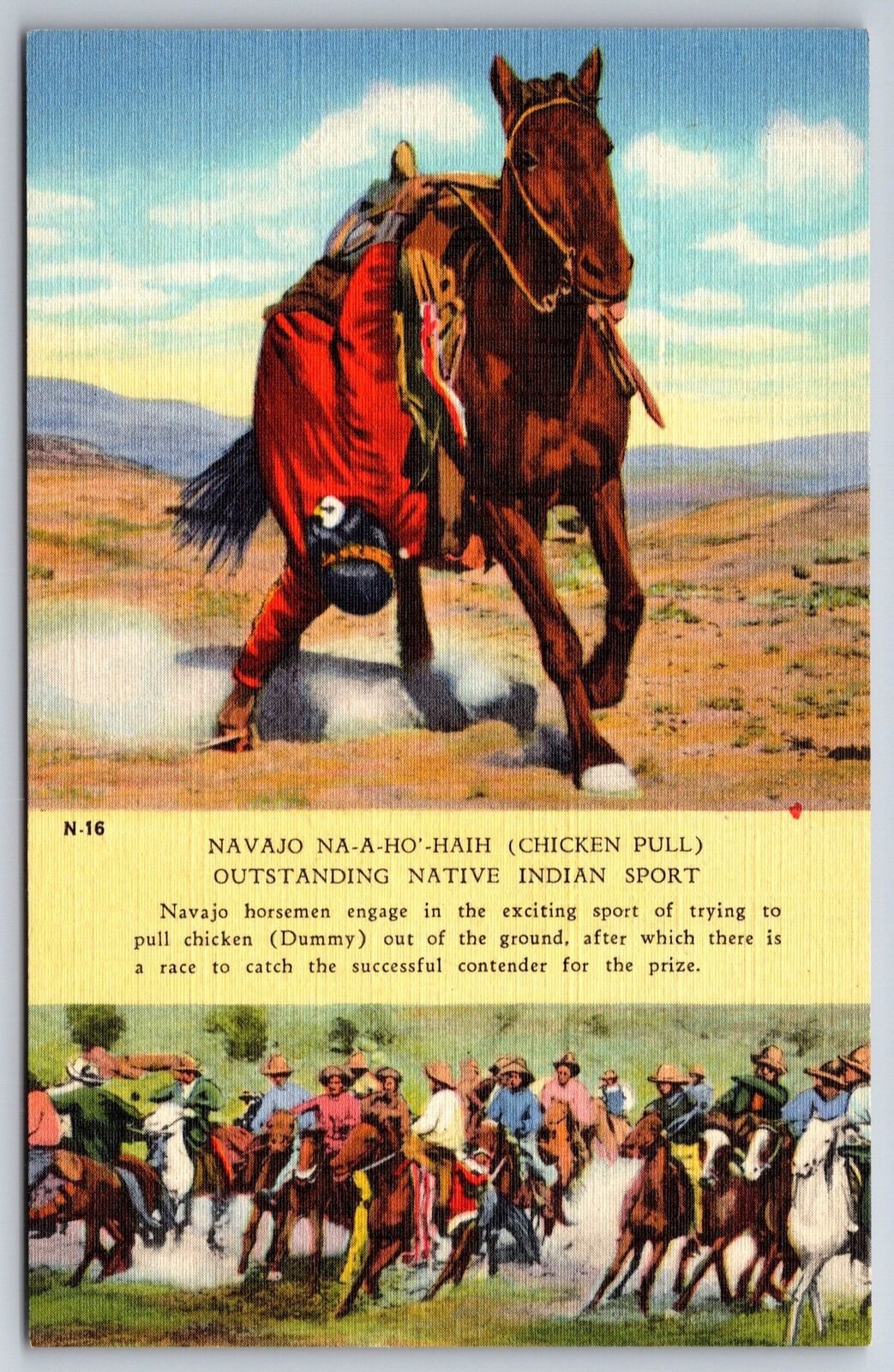Native Americana~Navajo Horsemen Na-A-Ho-Haih Chicken Pull Indian Sport~Postcard