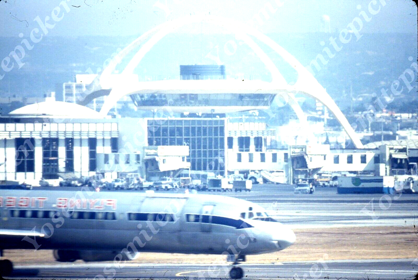 sl46  Original Slide  1981 Flying Tiger Airlines Airplane LAX 191a