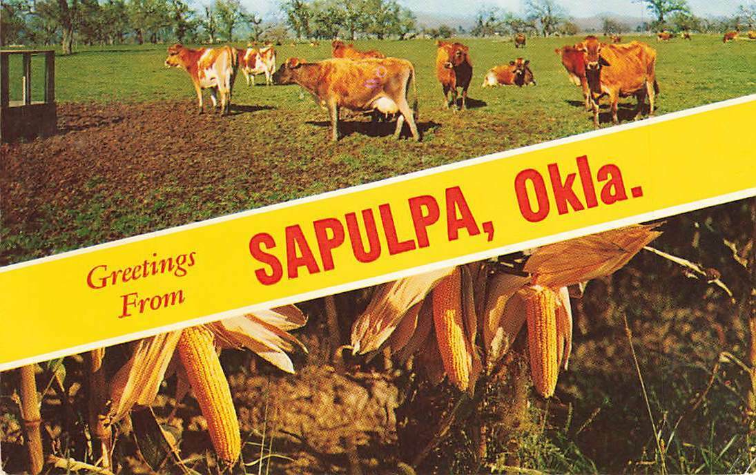 Greetings From Sapulpa Cattle Corn 1964 OK Chrome VTG P117