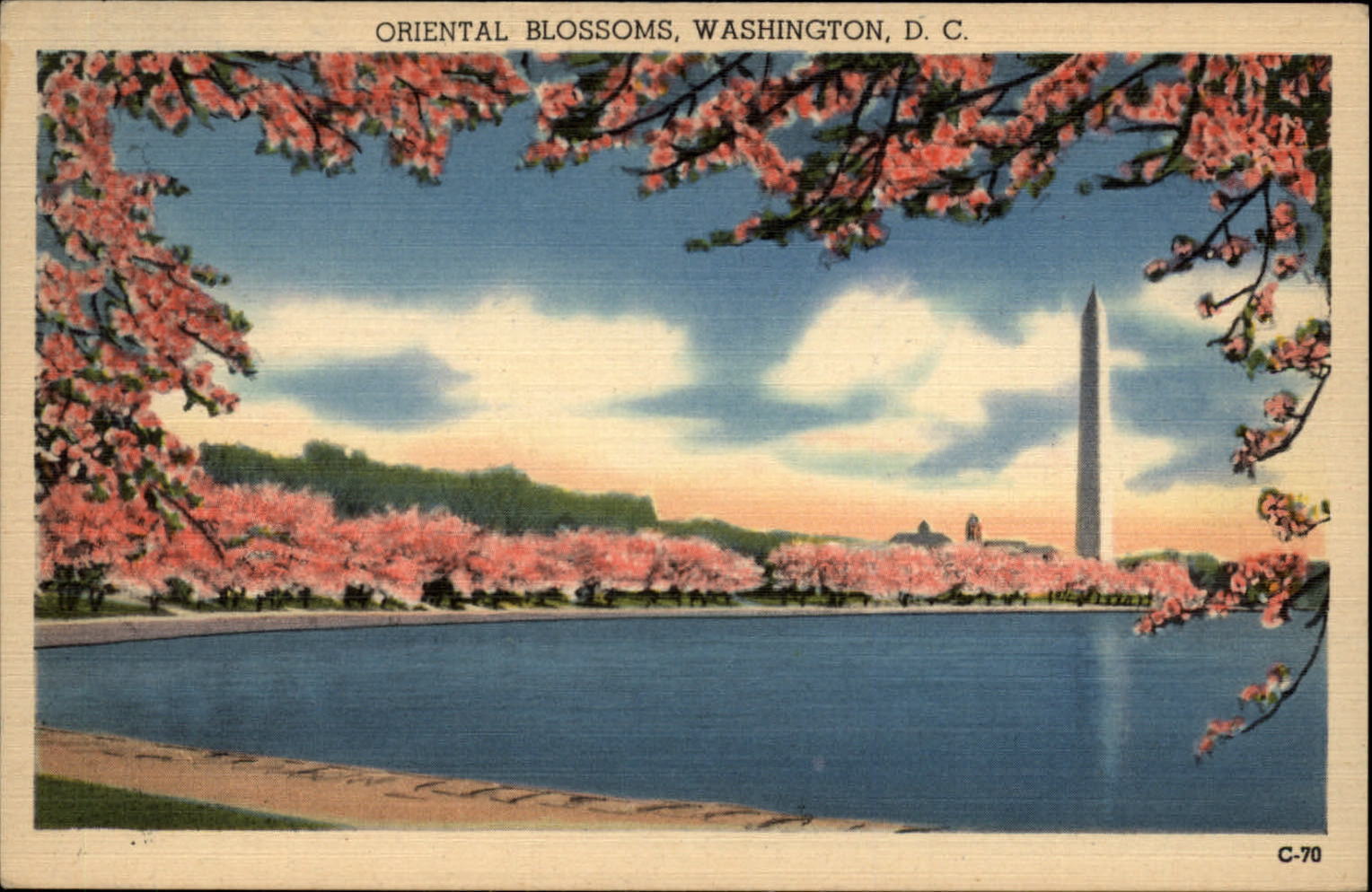 Oriental (Japanese) Cherry Blossoms Washington DC monument  1940s linen postcard