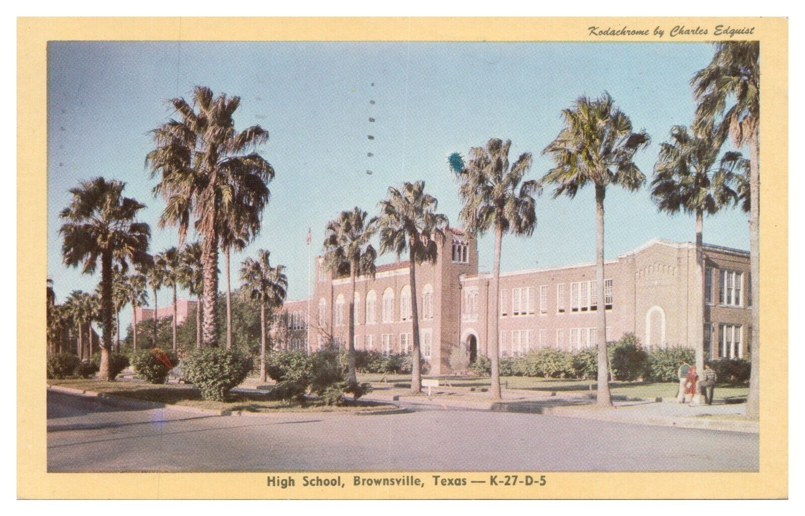 Brownsville Texas High School Vintage Postcard c1950 Street View Chrome