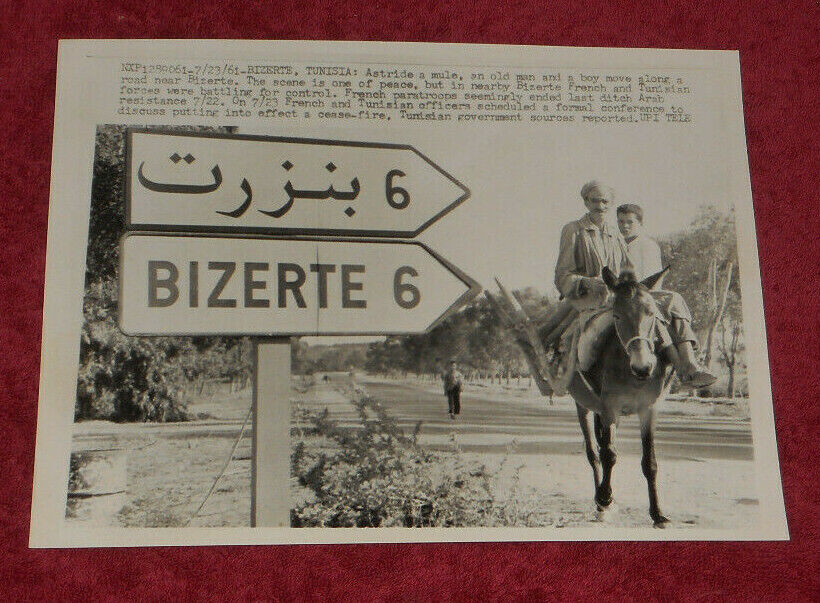 1961 Press Photo Old Man & Boy On Mule Move Along Road Near Bizerte Tunisia