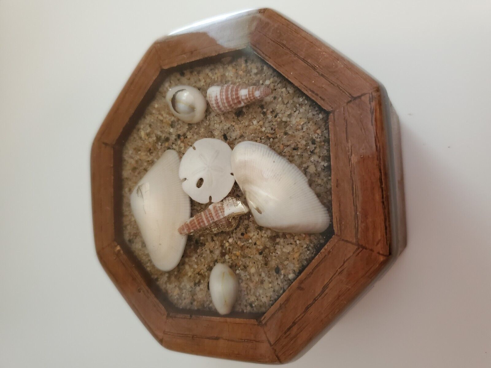 Wood And Seashells Trinket Box Octagonal Nautical Ocean Beach Decor Gift