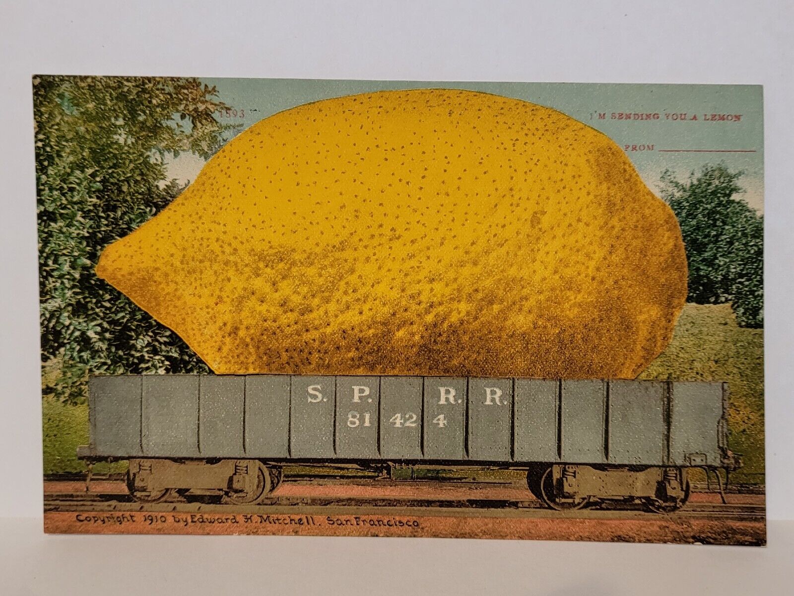 Postcard Exaggerated Fruit on Train Carload I\'m Sending You A Lemon c1910