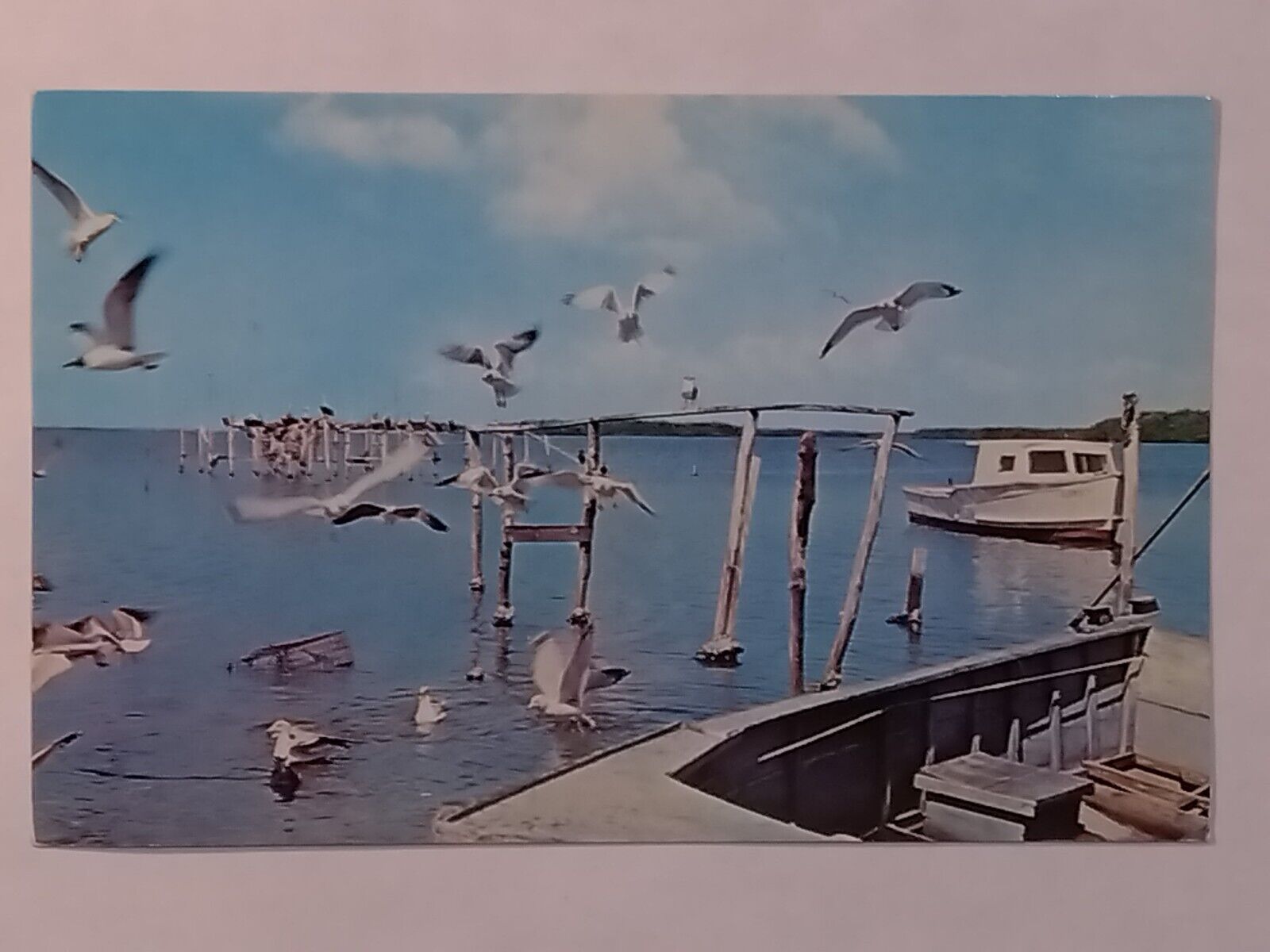 Typical Scene At The Fishing Waters Of Matlacha Area Pine Island Postcard 