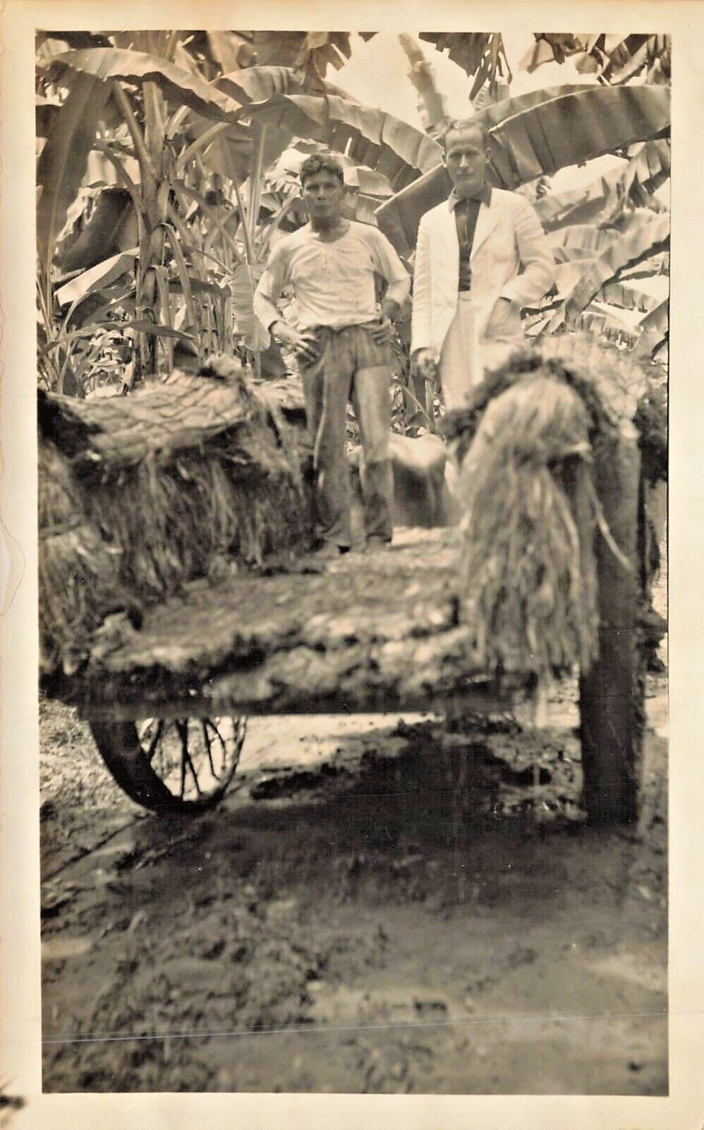 Santa Marta Cuba~Native & Man in Suit on Cart-Banana Plantation~1935 Photo 28D
