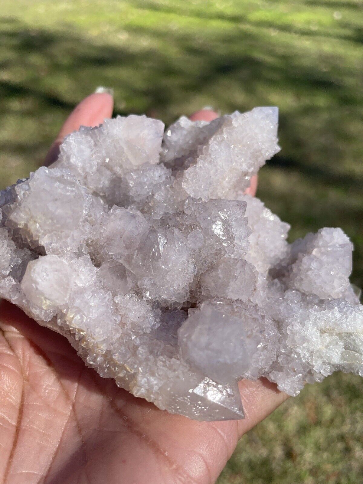Amethyst  Spirit Quartz Cactus Crystal , Natural Specimen