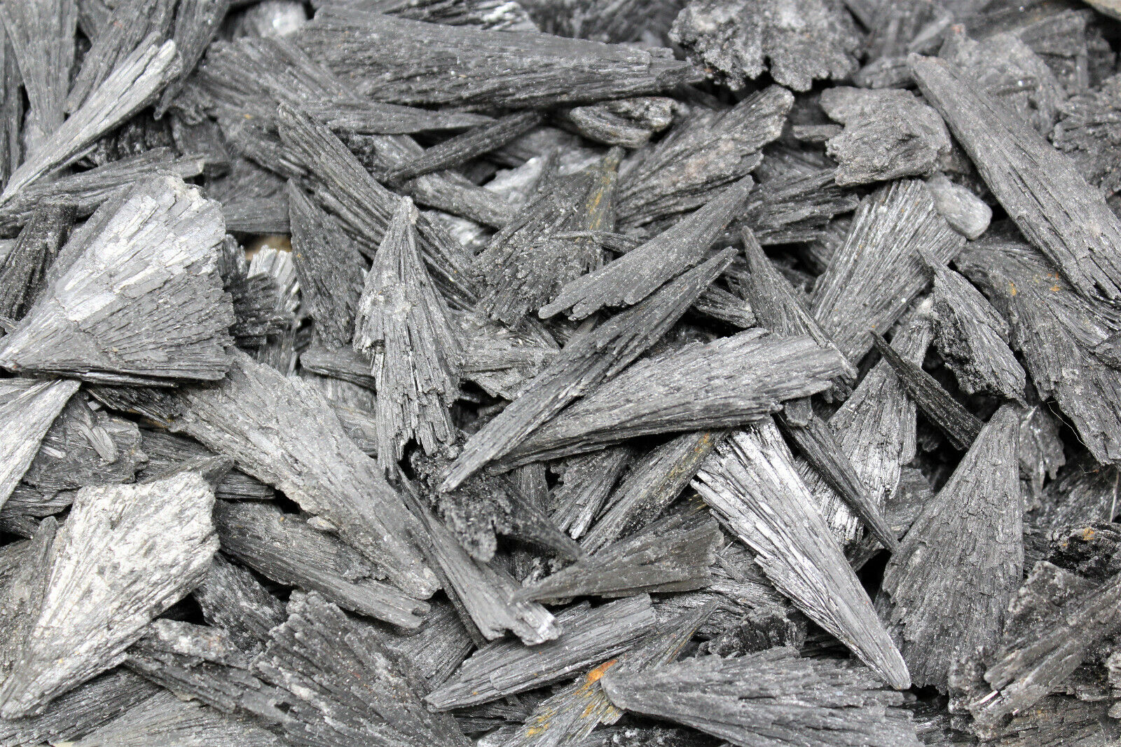 1 lb Black Kyanite Blades Fans: Natural Premium Quality Wholesale Bulk Lot 16 oz