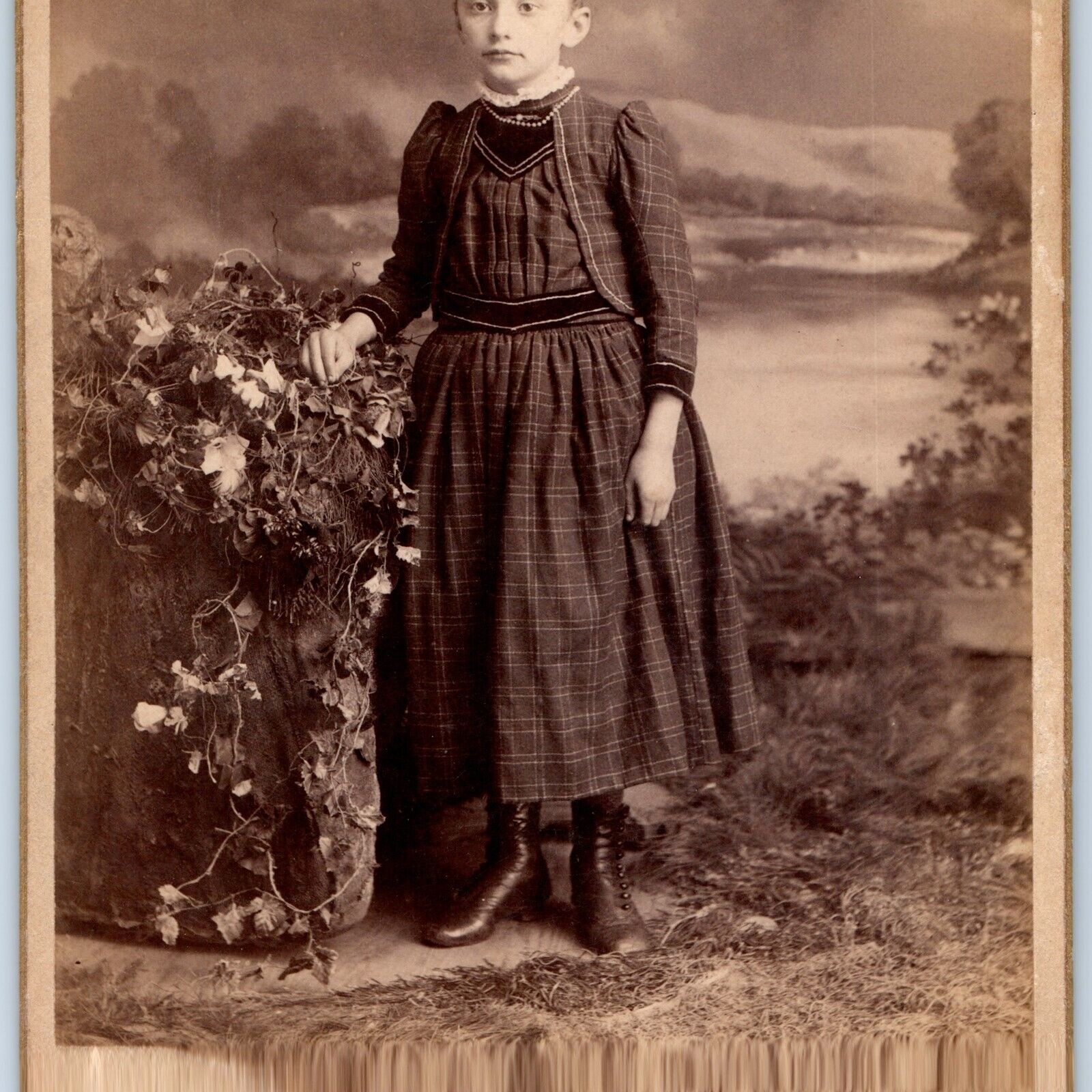c1880s Cute Little Girl Standing Dress Cabinet Card Photo Vine Hay Landscape B18