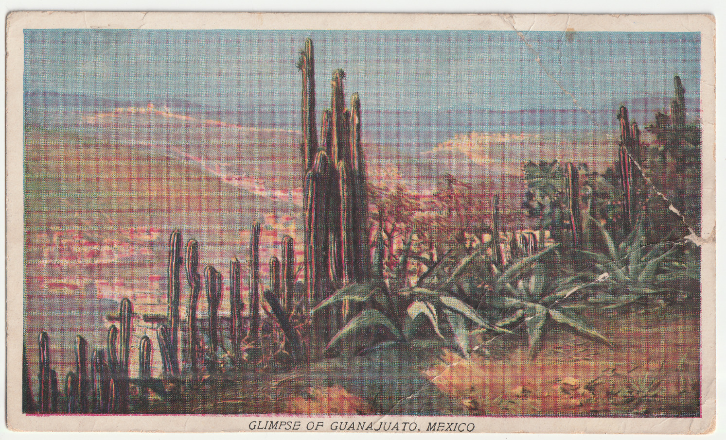 c1920s Historic Guanajuato Mexico~Desert~Plateau~Cacti Vintage~Postcard