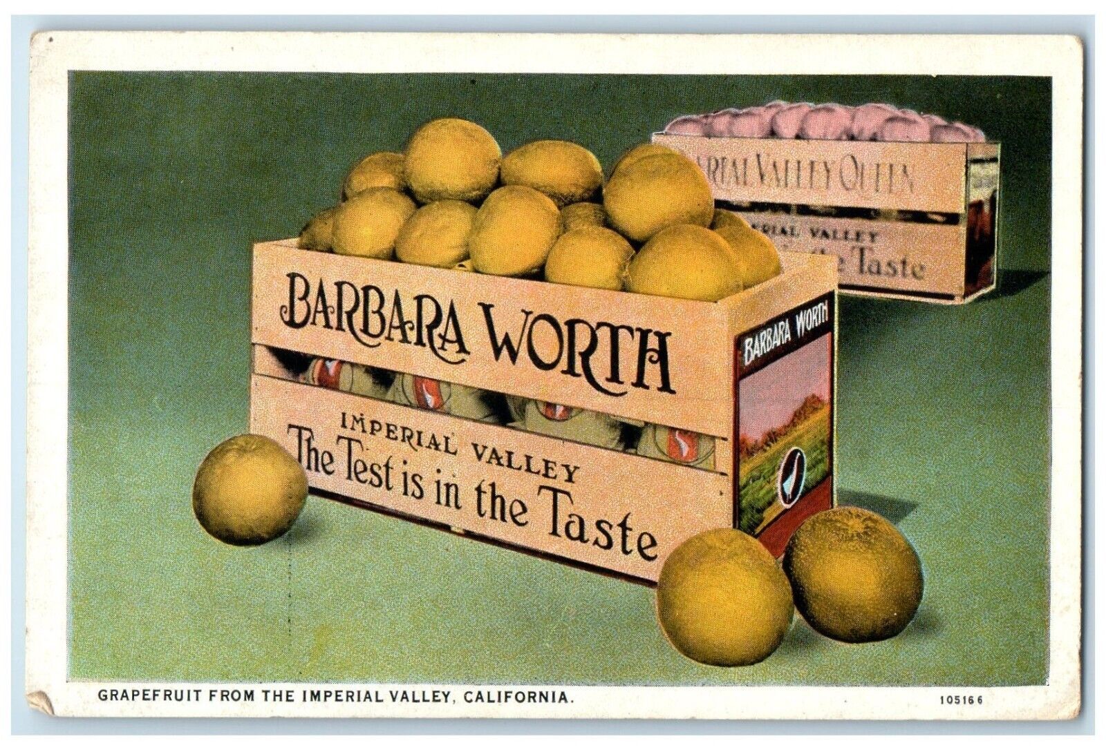 c1920 Barbara Worth Grapefruit Imperial Valley California CA Unposted Postcard