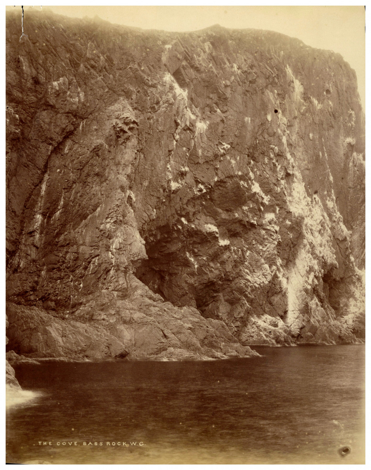 Scotland, The Cove, Bass Rock, Photo. W.G. Vintage Albumen Print, Album Print