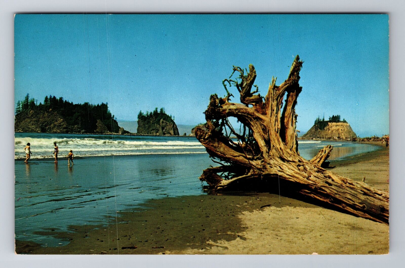 WA-Washington, Beach At La Push, Antique, Vintage Postcard