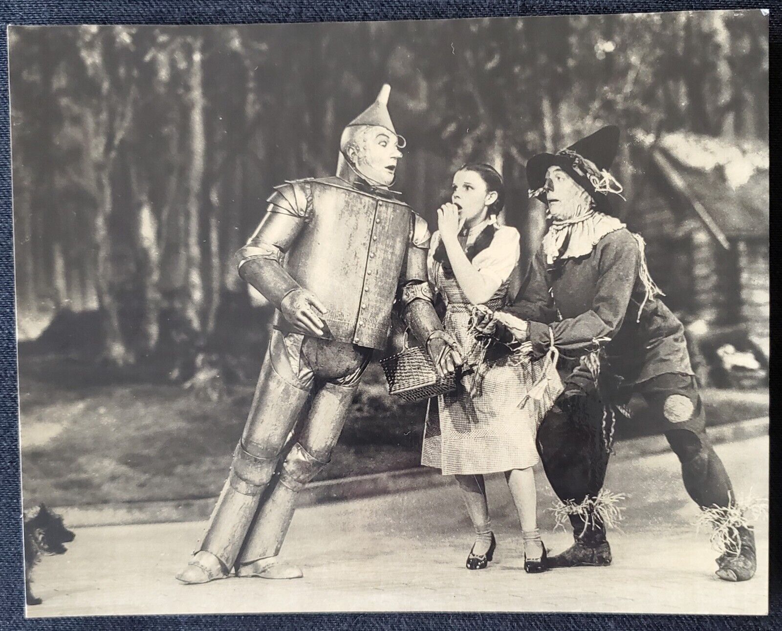1939 Wizard Of Oz Garland Bolger Lahr Haley MGM Press 8x10 Gelatin Silver Photo