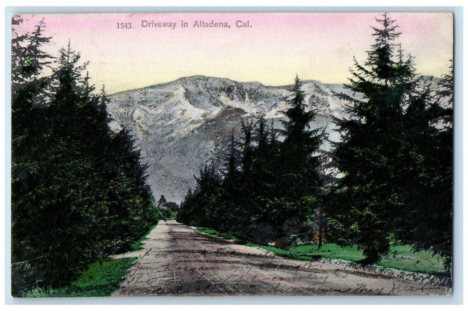 1907 Scene of Trees and Mountains Driveway in Altadena California CA Postcard