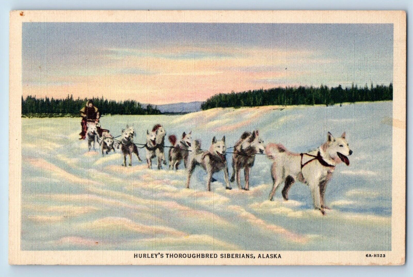 Siberians Alaska AK Postcard Hurley Thoroughbred Dogs Alaska Air Mail Flight