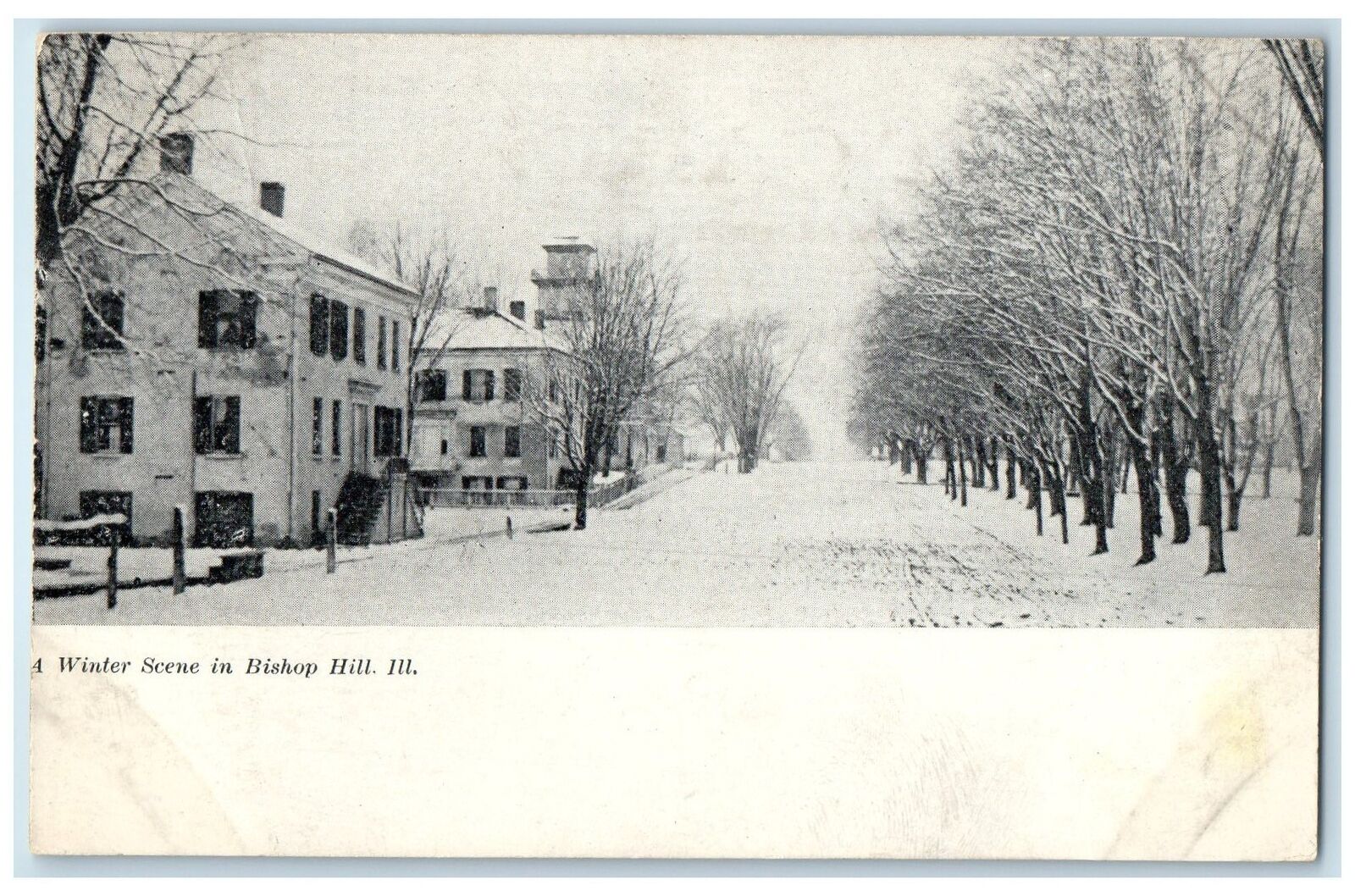 c1905's Winter Scene Street Lined Leave Less Trees Bishop Hill Illinois Postcard