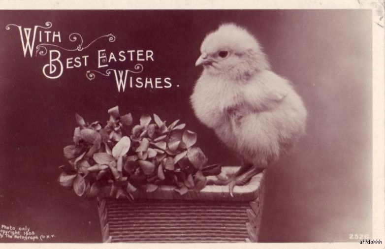 ROTOGRAPH REAL BROMIDE PHOTO BEST EASTER WISHES 1909