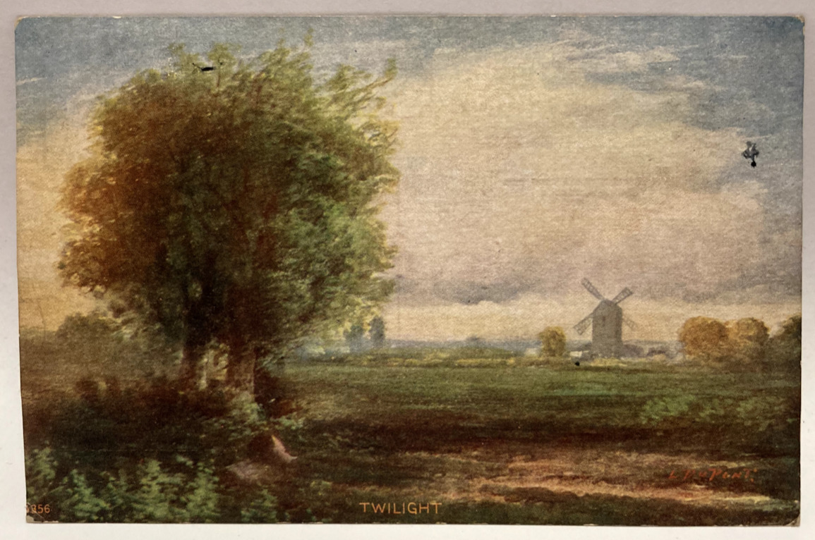 1909 Nature Scene, Windmill, Large Tree, Unknown Location, Vintage Postcard