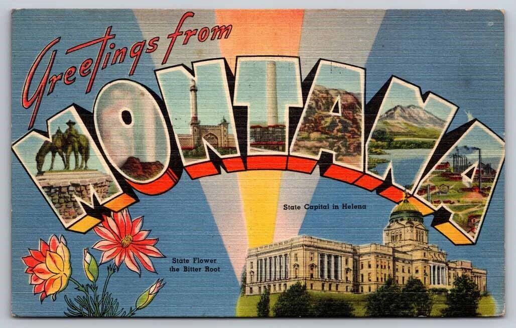 eStampsNet - Montana Postcard Large Letter 
