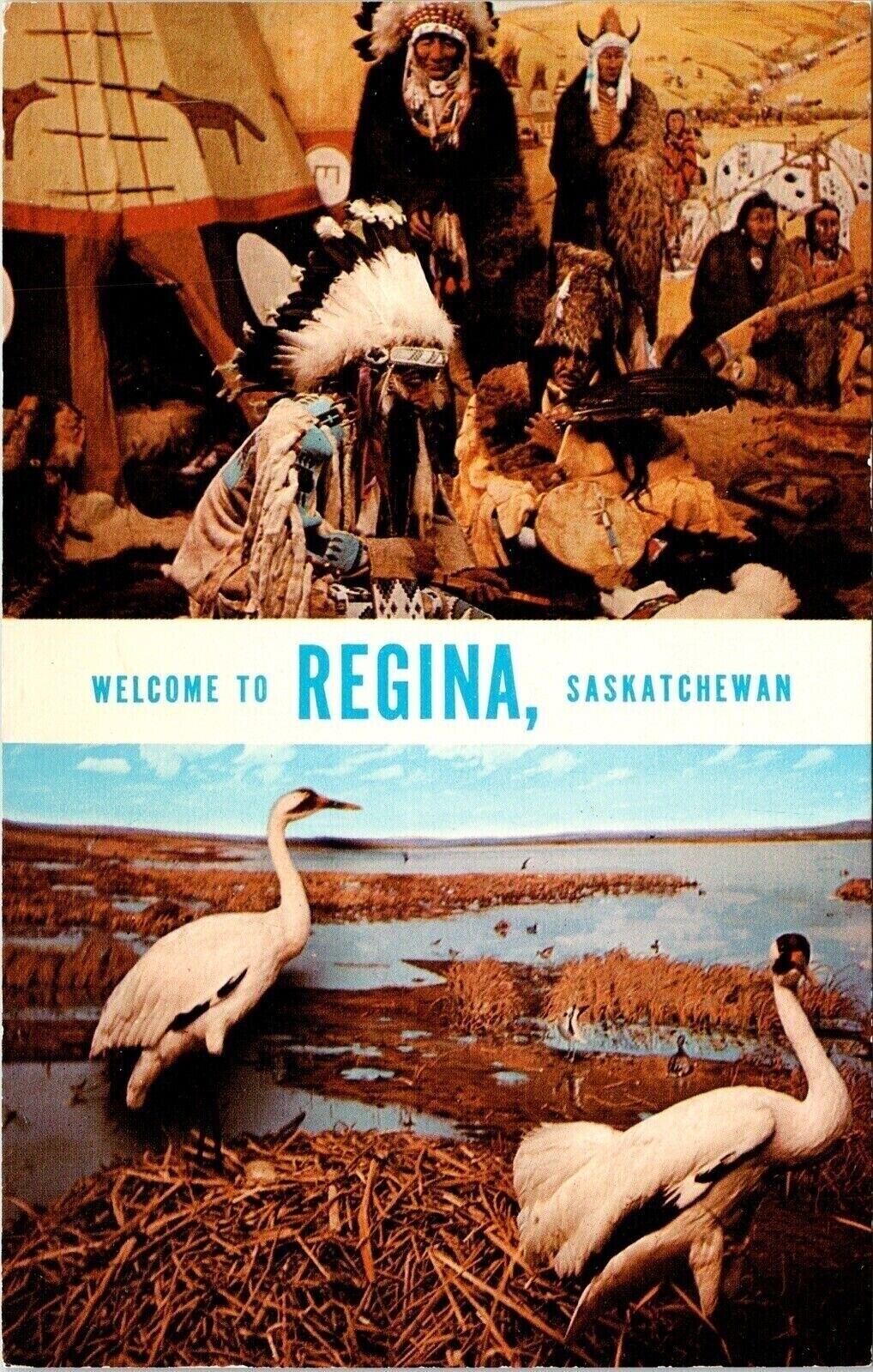 Welcome Regina Saskatchewan Museum Natural History Wob Note Postcard