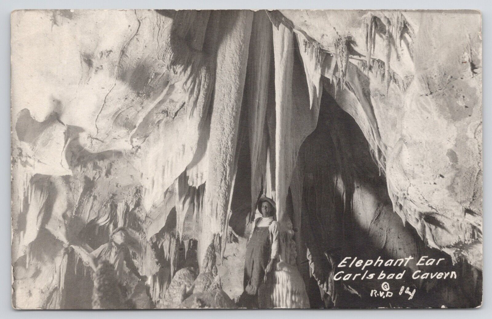 RPPC New Mexico Carlsbad Caverns Elephant Ear c1920 Real Photo Postcard