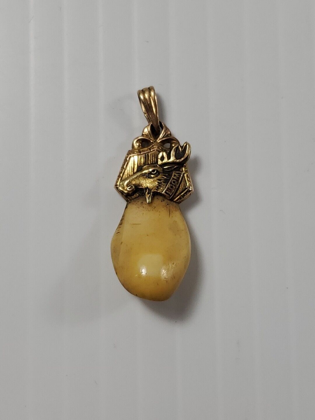 Vintage Large Gold Elks Tooth Pendant LOOM