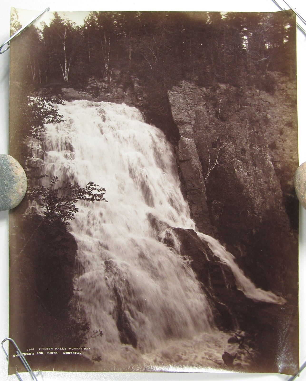 WILLIAM NOTMAN Albumen Photograph Fraser Falls Murray Bay Quebec Canada C1890