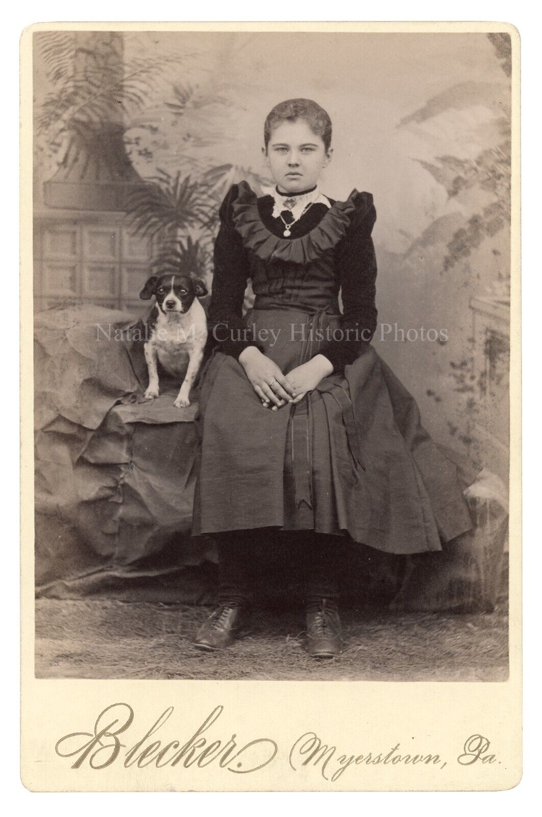 1900s Victorian Girl & Terrier Dog Studio Cabinet Photo