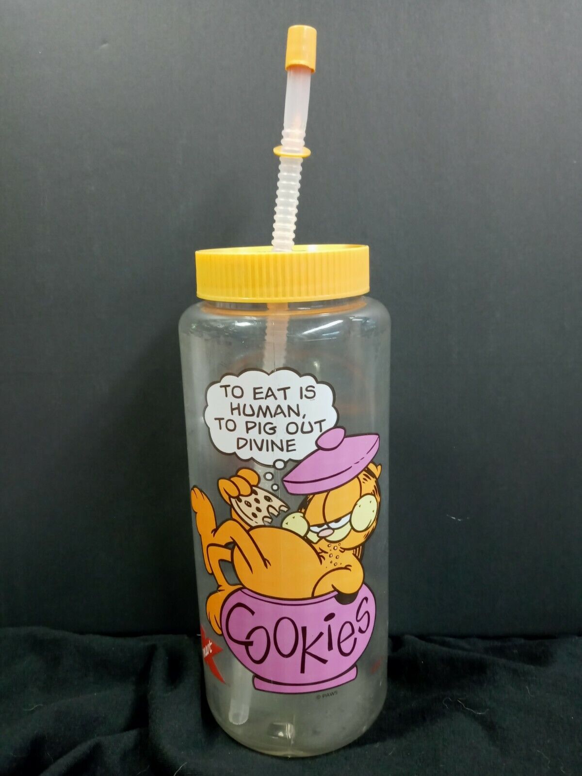 Vintage 1997 Garfield PAWS K Mart Plastic Water Bottle W/ Straw USA Made 