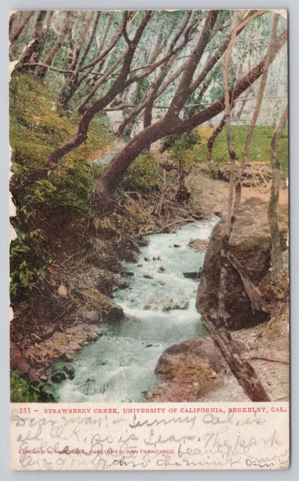 Berkeley CA, Strawberry Creek, University of California, Vintage Postcard