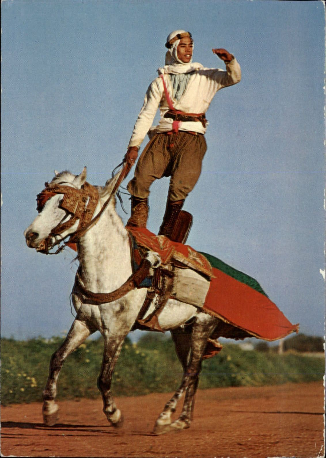 Tunisia North Africa trick rider on horseback vintage postcard sku171