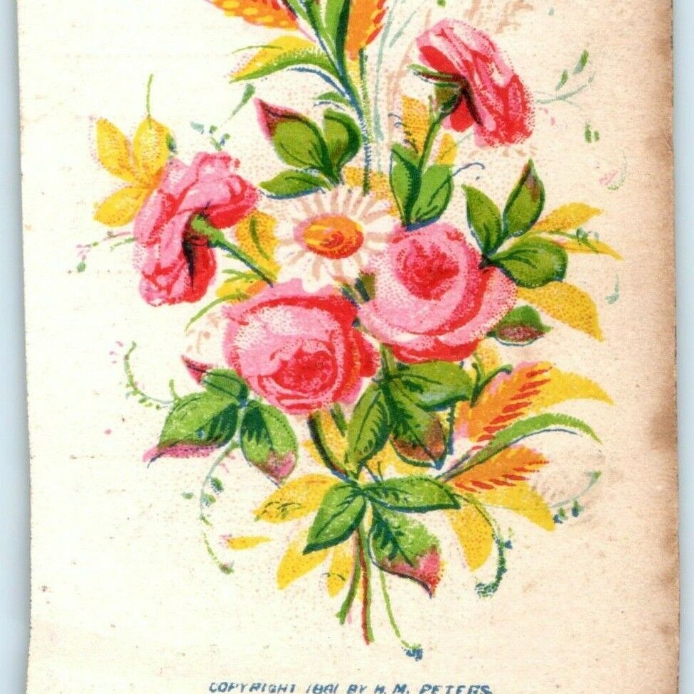 1881 Broadway New York Mercantile Printing & Stationery Trade Card MM Peters C18