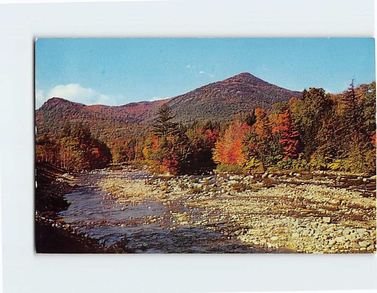 Postcard A Typical New England Fall Scene USA