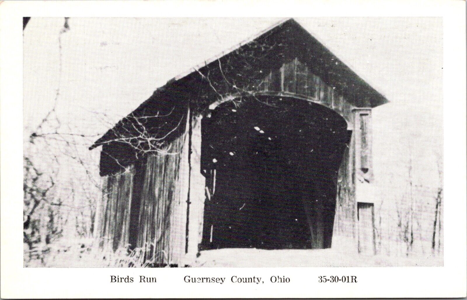 Postcard Wheeling Township Ohio Birds Run Guernsey County RPPC Vintage Unposted