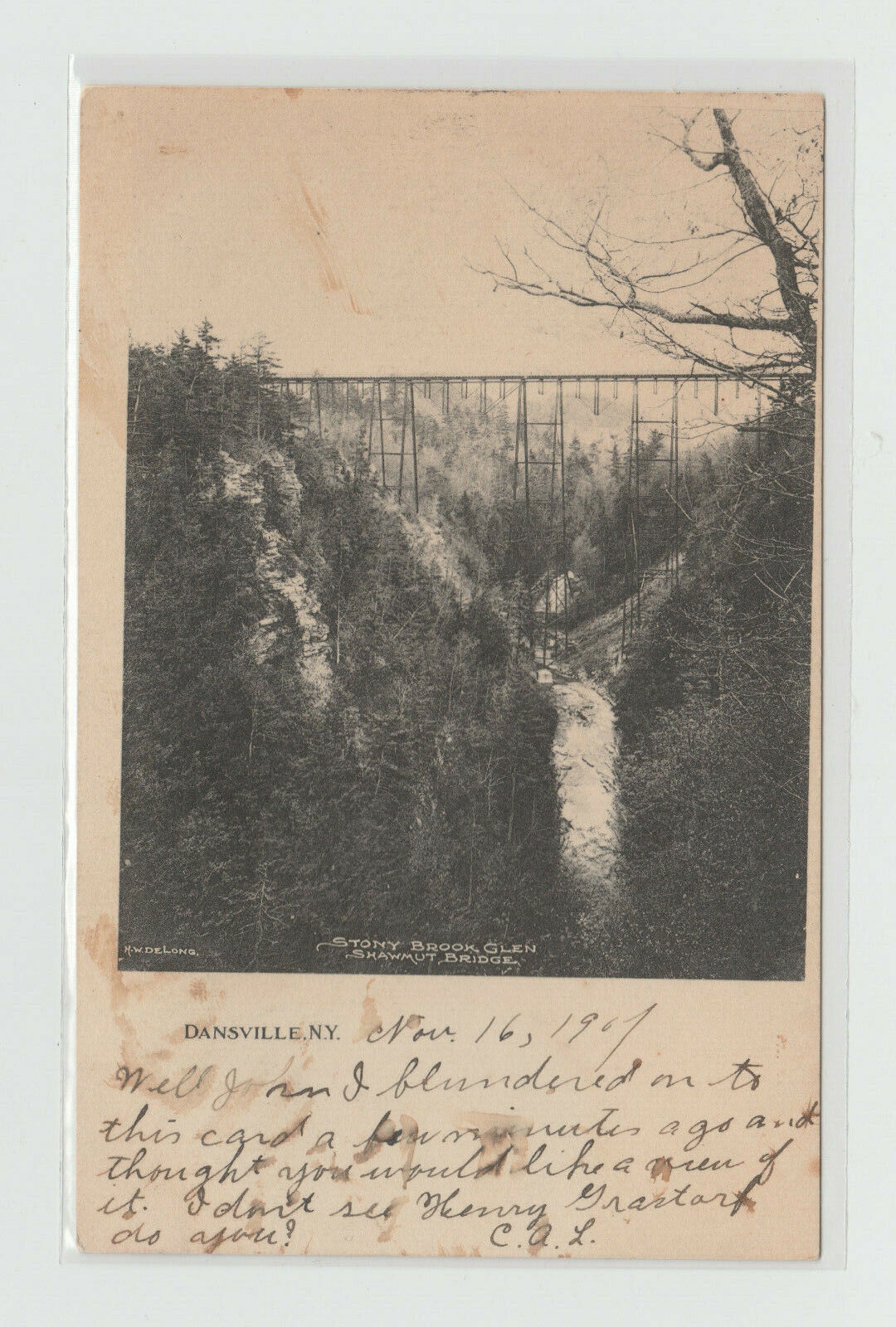 Stony Brook Glen - Shawmut Bridge Danville - Vintage New York Postcard  #88