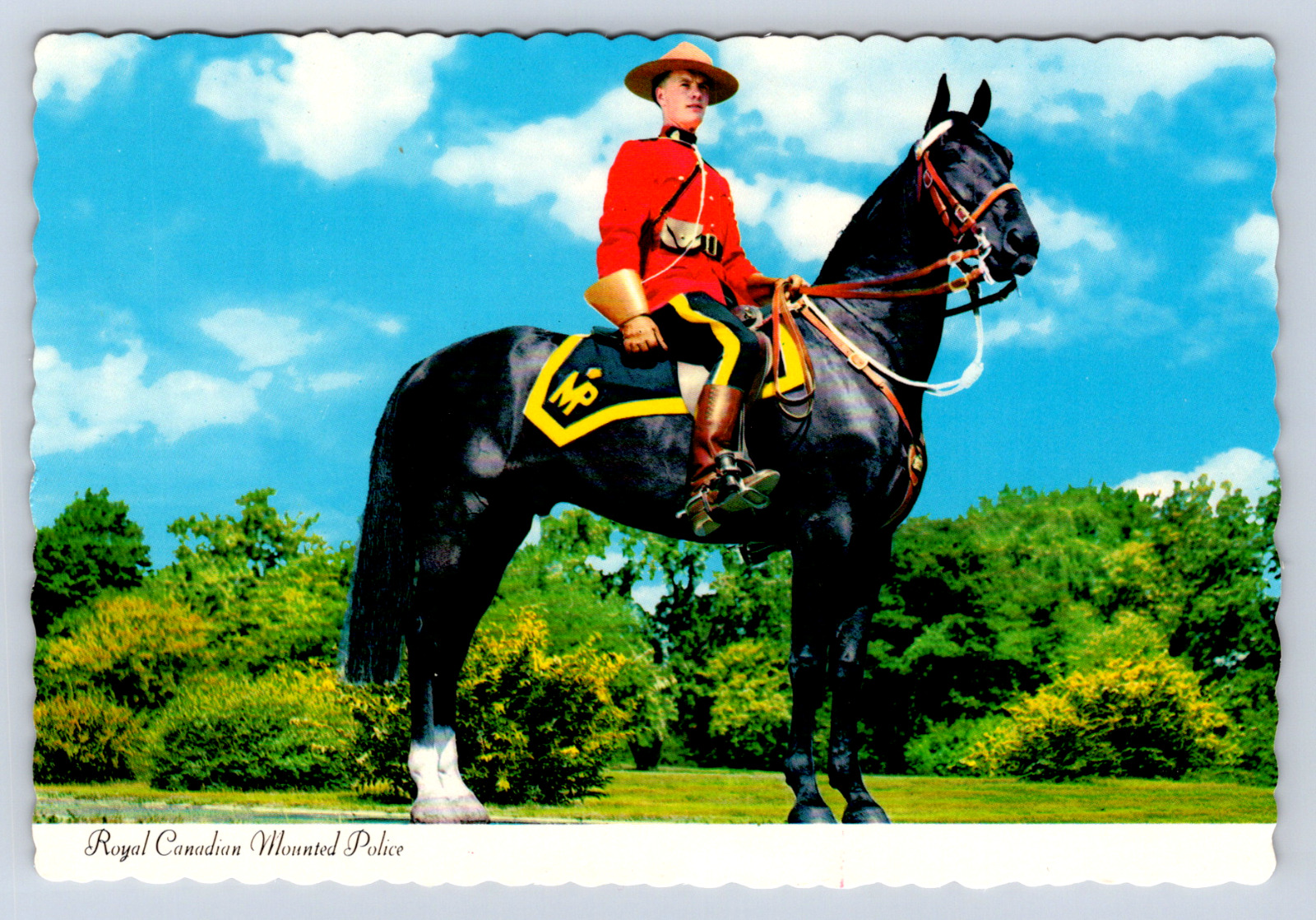Vintage Postcard Royal Canadian Mounted Police
