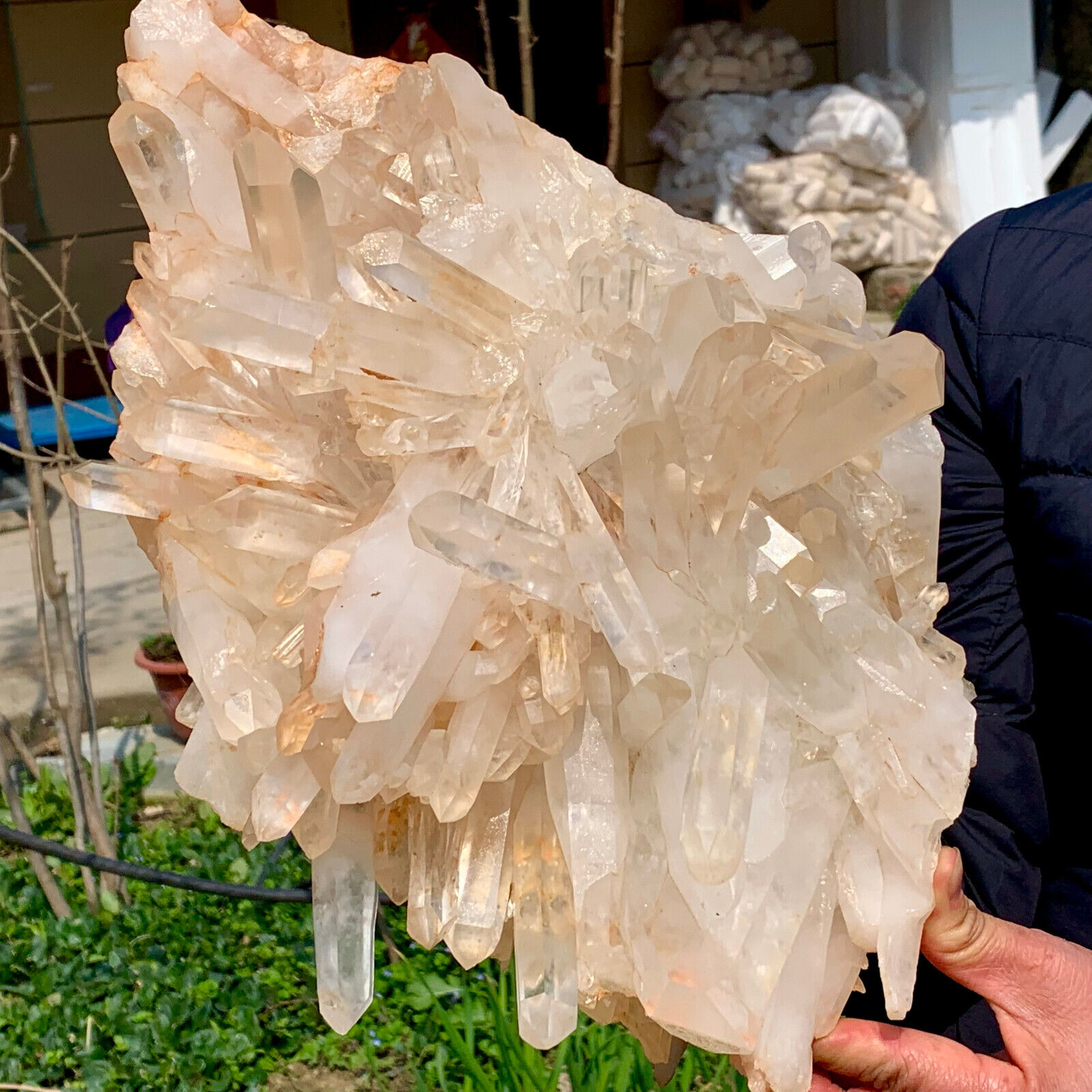 23.5LB Transparent, natural and beautiful white quartz crystal cluster sp