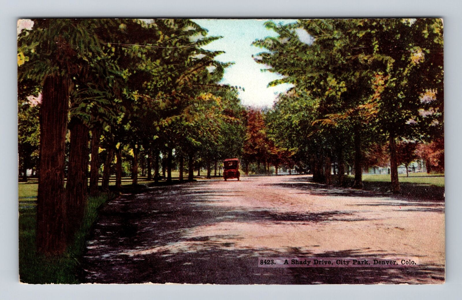 Denver CO-Colorado, A Shady Drive in City Park, Antique Vintage Postcard