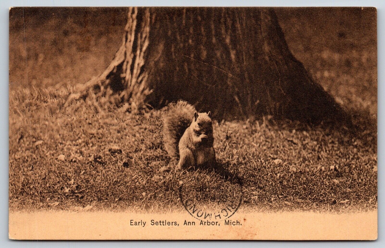 Early Settlers, Ann Arbor, Michigan Vintage Postcard