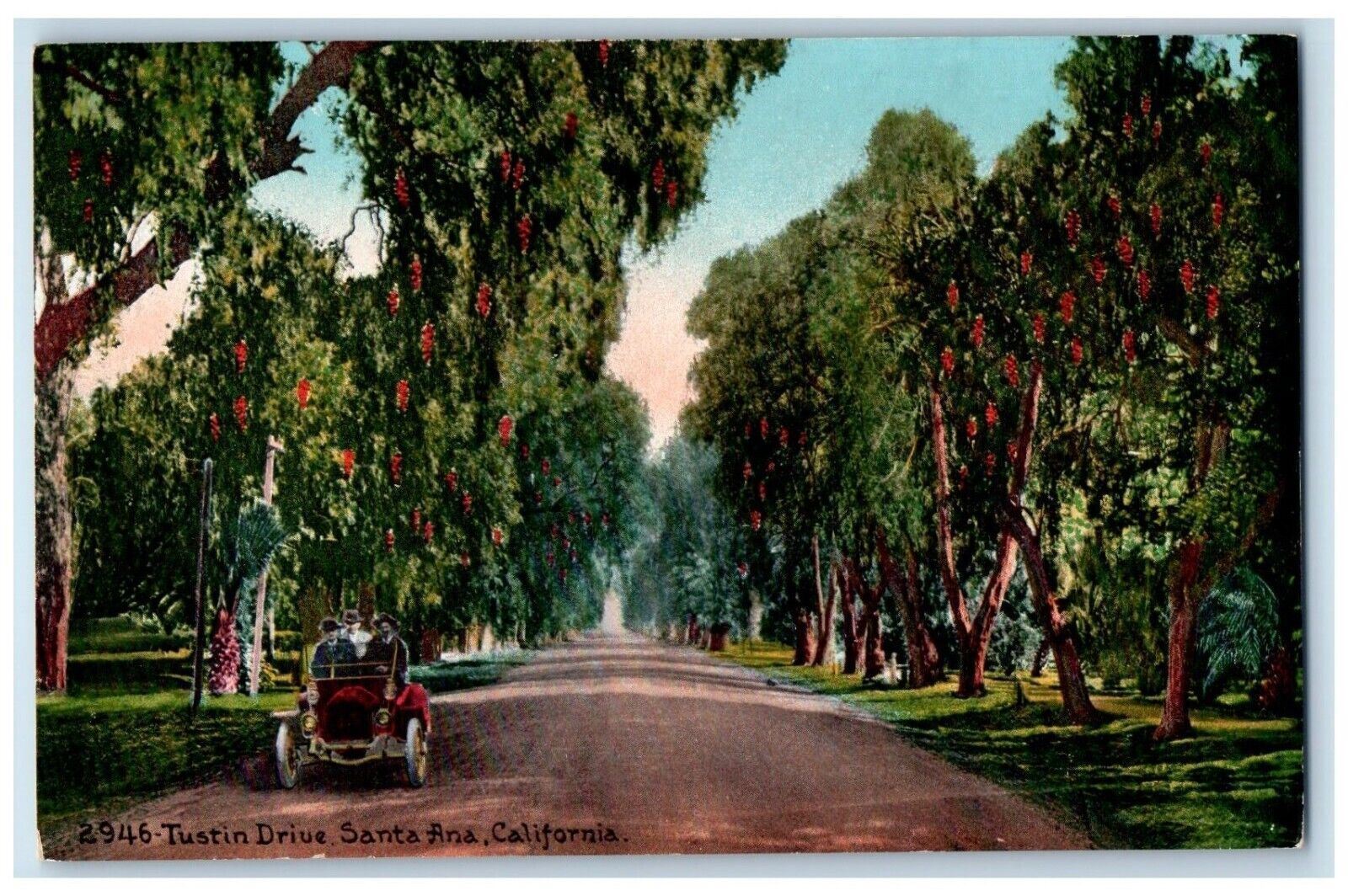 c1910\'s Tustin Drive Car Trees Road View Santa Barbara California CA Postcard